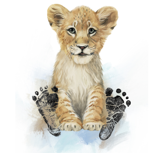 Kit Empreinte bébé lion GMLB